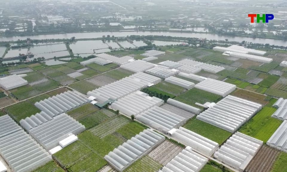 Đồng h&agrave;nh c&ugrave;ng nh&agrave; n&ocirc;ng: C&ocirc;ng nghệ cao mở hướng cho n&ocirc;ng nghiệp bền vững