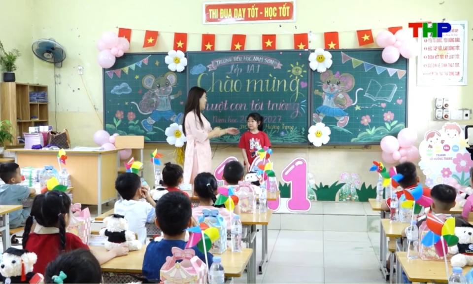 Nhịp sống 24h (26/08/2026)