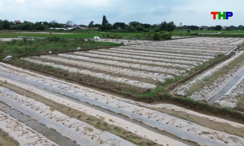 Ổn định sản xuất n&ocirc;ng nghiệp sau thi&ecirc;n tai