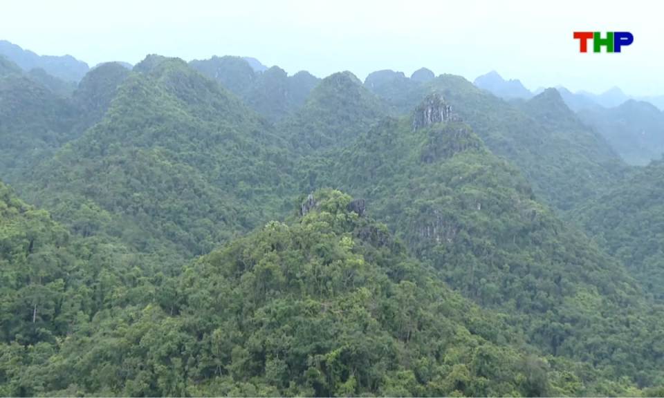 Bản tin thời sự s&aacute;ng (30/08/2026)