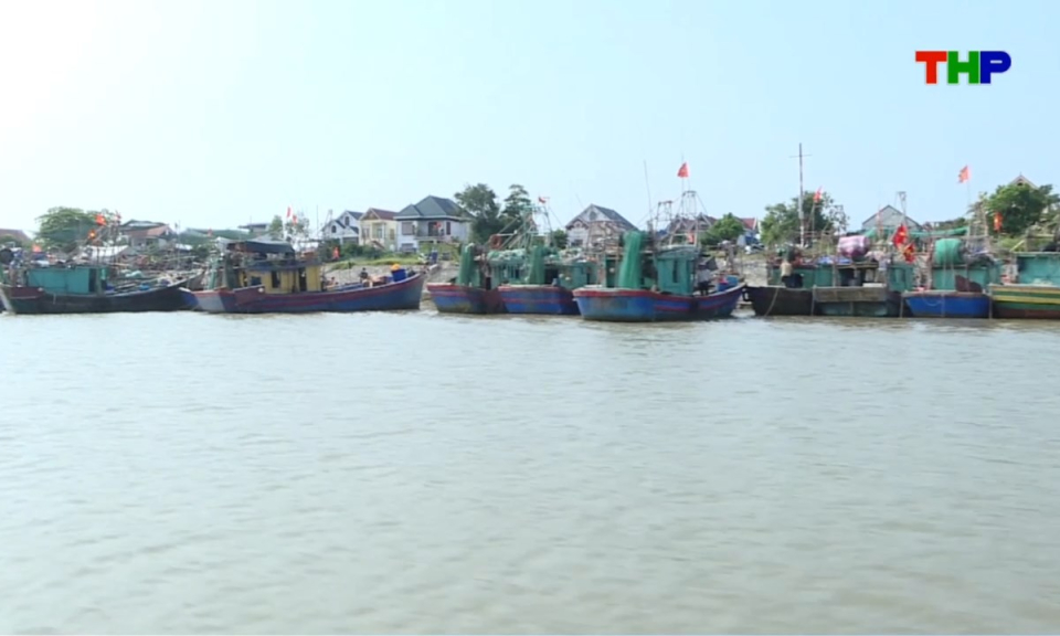 Bản tin thời sự cuối ng&agrave;y (01/09/2026)