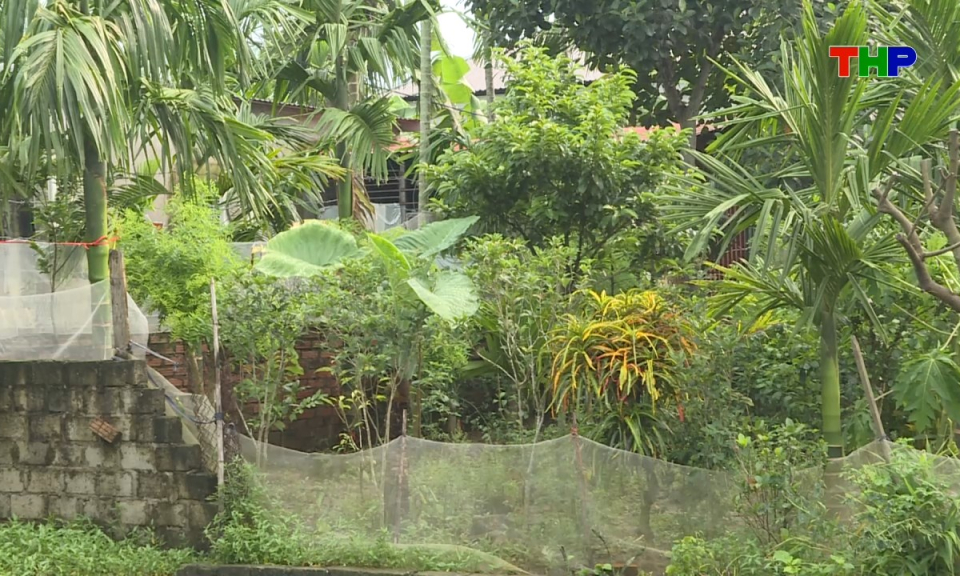 Hộp thư truyền h&igrave;nh: Tranh chấp ranh giới đất đai tại x&atilde; Vĩnh Hải 