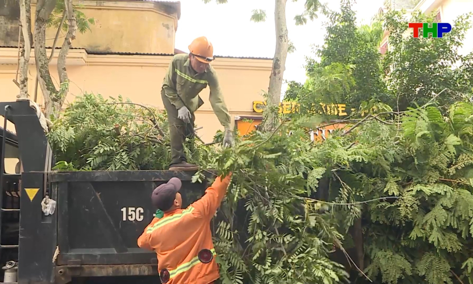 Bảo đảm an to&agrave;n c&acirc;y xanh đ&ocirc; thị trong m&ugrave;a mưa b&atilde;o