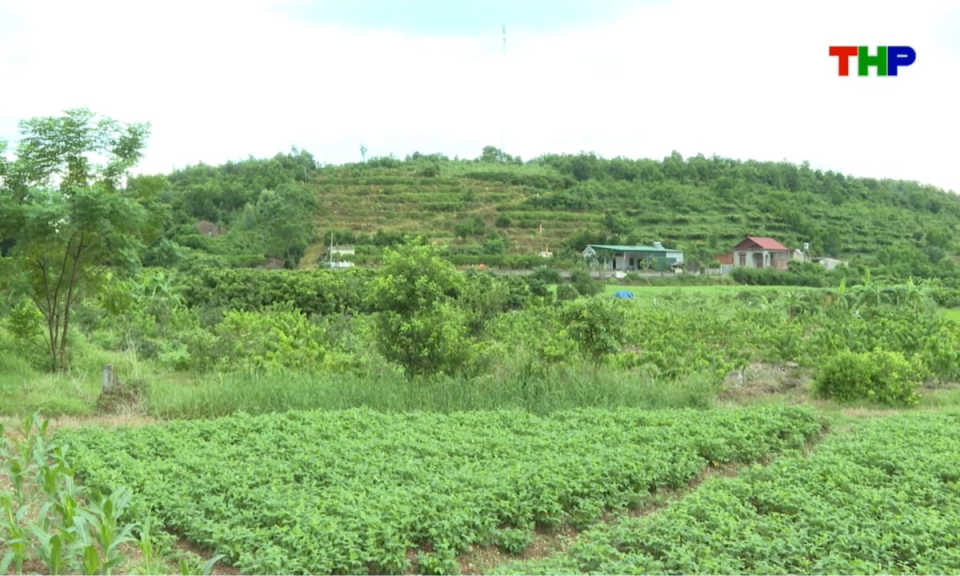 Nhịp sống 24h (03/09/2026)