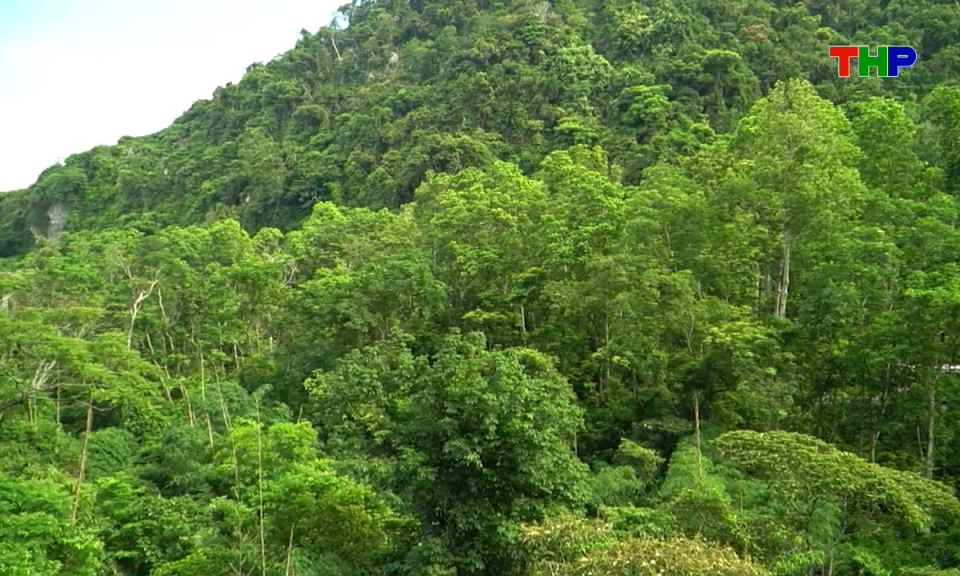 Bản tin tiếng Trung - 海防新闻 (03/09/2026)