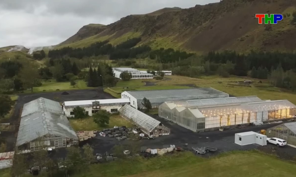 Kh&aacute;m ph&aacute; thế giới: Iceland - Khi n&uacute;i lửa nu&ocirc;i sống n&ocirc;ng nghiệp