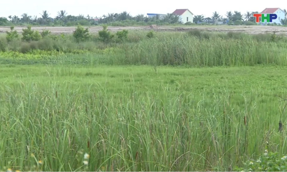 Hộp thư truyền h&igrave;nh: Dự &aacute;n x&acirc;y dựng tuyến đường bộ ven biển qua x&atilde; H&ugrave;ng Thắng bị chậm tiến độ