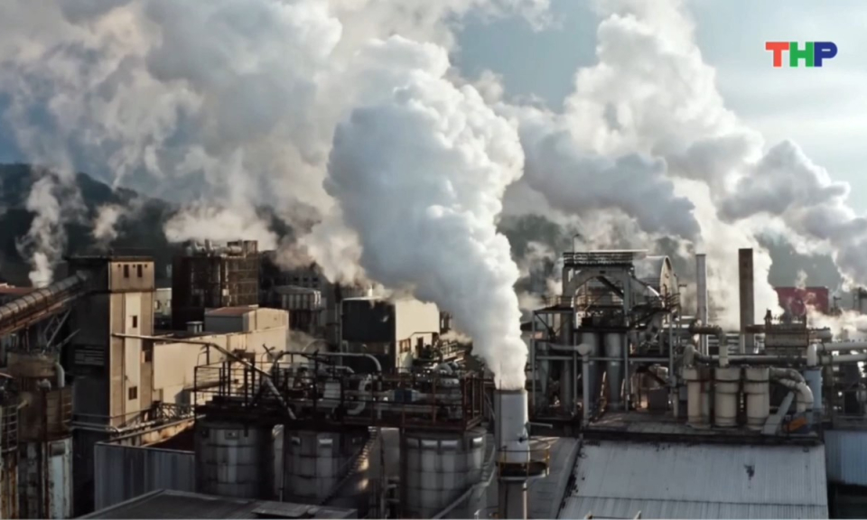 Kh&aacute;m ph&aacute; thế giới: T&iacute;n chỉ Carbon - "Tiền tệ xanh'' của thế kỷ 21