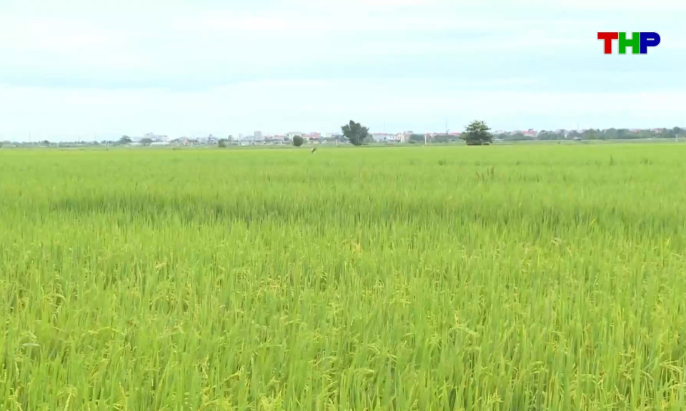 Bản tin thời sự 17h00 (07/09/2026)