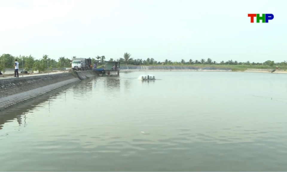 Bản tin thời sự s&aacute;ng (08/09/2026)