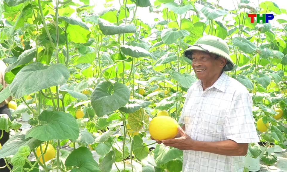 N&ocirc;ng th&ocirc;n mới Hải Ph&ograve;ng: Thay đổi tư duy sản xuất n&ocirc;ng nghiệp th&iacute;ch ứng với biến đổi kh&iacute; hậu