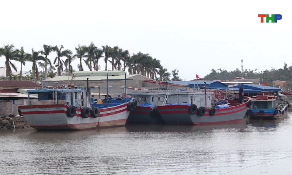 Bản tin tiếng Anh - Hai Phong News (09/09/2026)