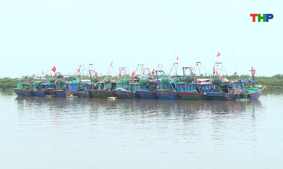 Bản tin tiếng Trung - 海防新闻 (09/09/2026)