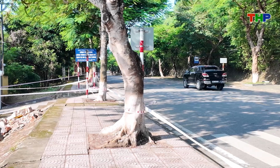 Tiến độ Dự &aacute;n mở rộng đường L&yacute; Th&aacute;i Tổ