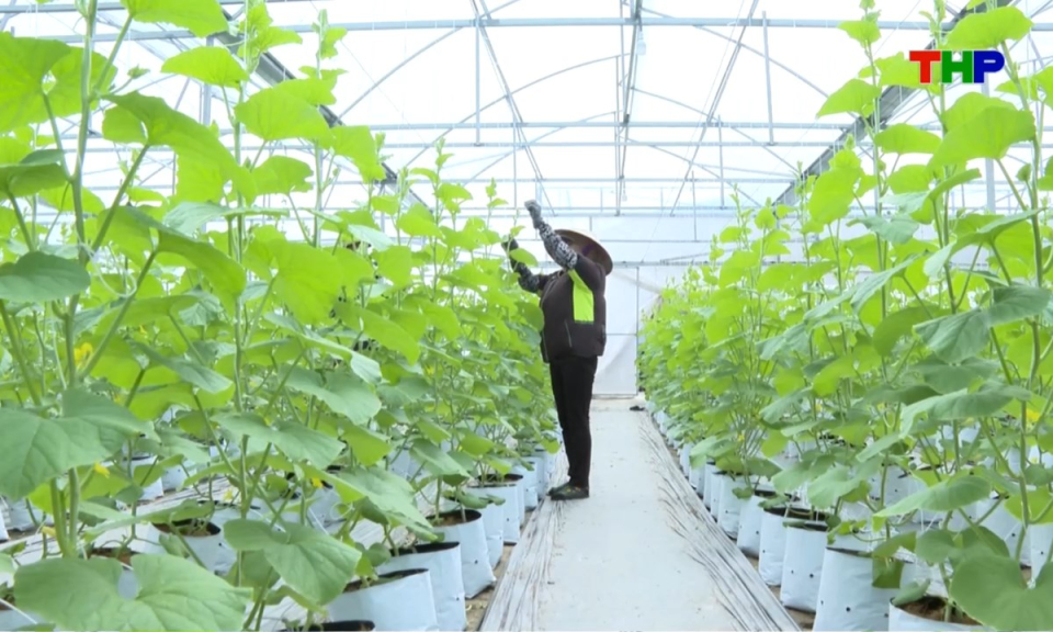 Nhịp sống 24h (10/09/2026)
