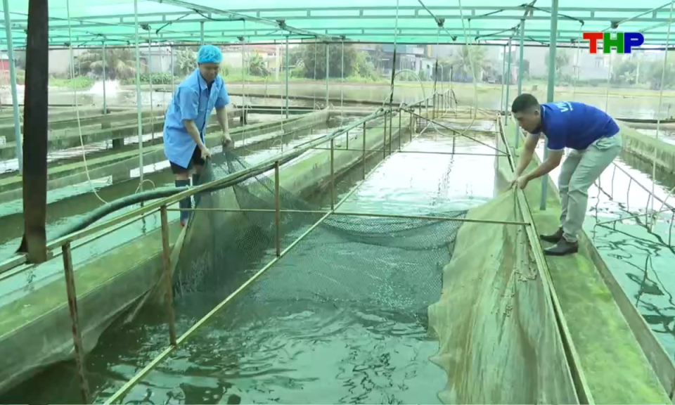 Nhịp sống 24h (13/09/2026)