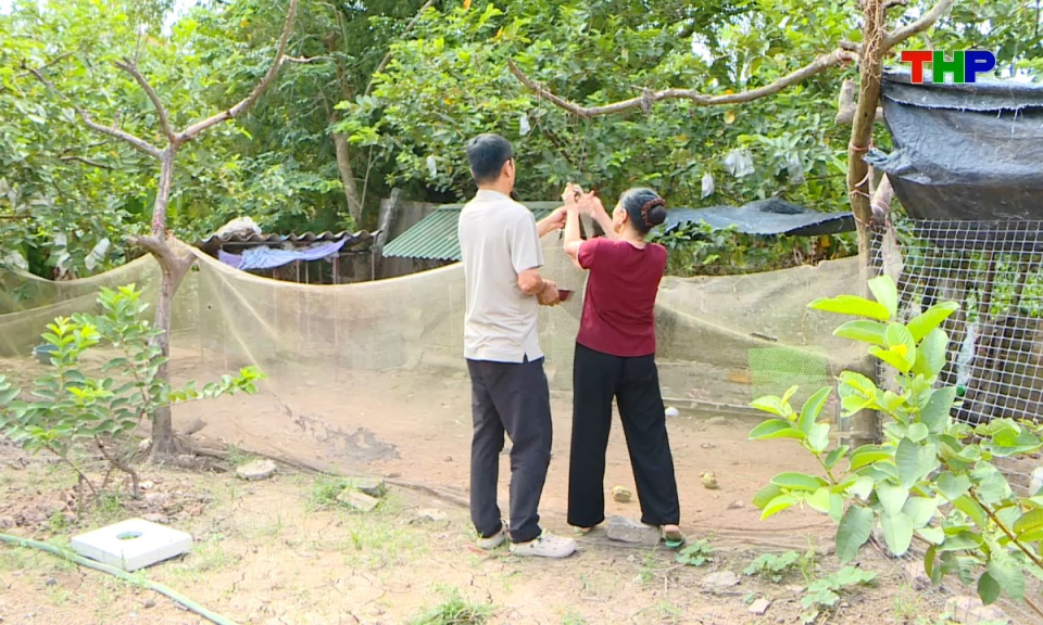 G&oacute;c nh&igrave;n nội ch&iacute;nh: Nguồn vốn nh&acirc;n văn v&agrave; h&agrave;nh tr&igrave;nh ho&agrave;n lương