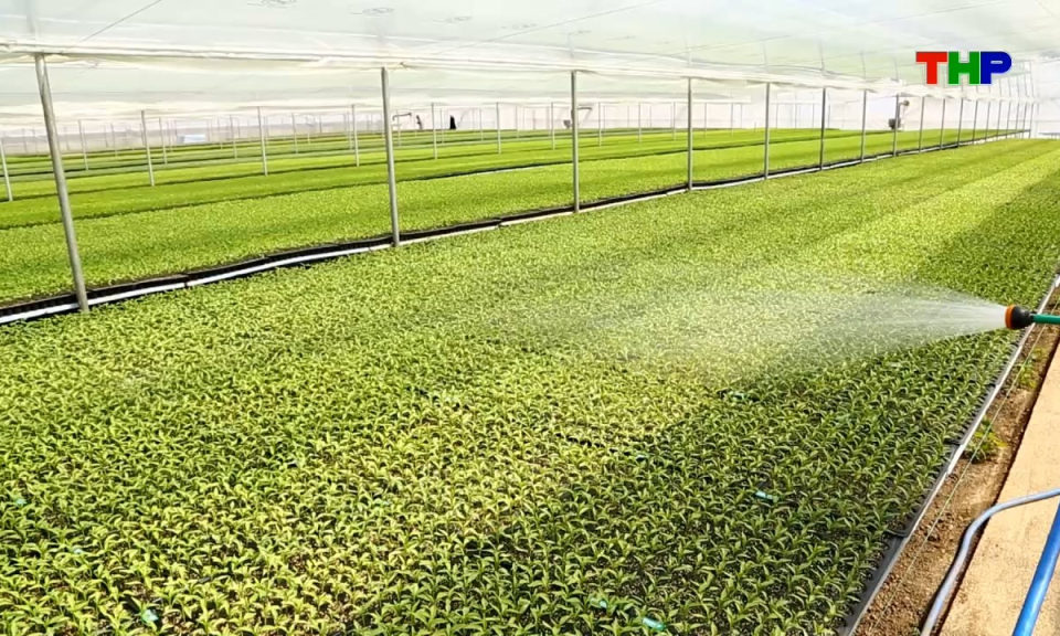 N&ocirc;ng th&ocirc;n mới Hải Ph&ograve;ng: Đổi mới sản xuất n&ocirc;ng nghiệp nhờ khoa học c&ocirc;ng nghệ