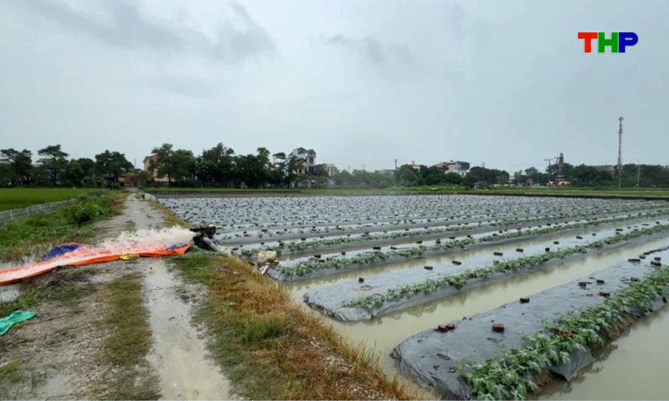 Nhịp sống 24h (16/09/2026)