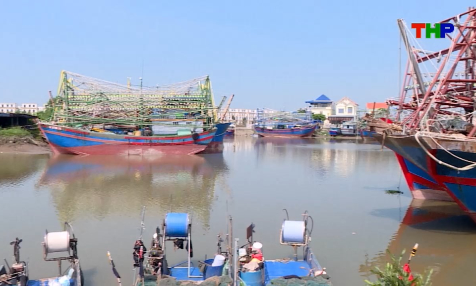 Bản tin tiếng Anh - Hai Phong News (17/09/2026)