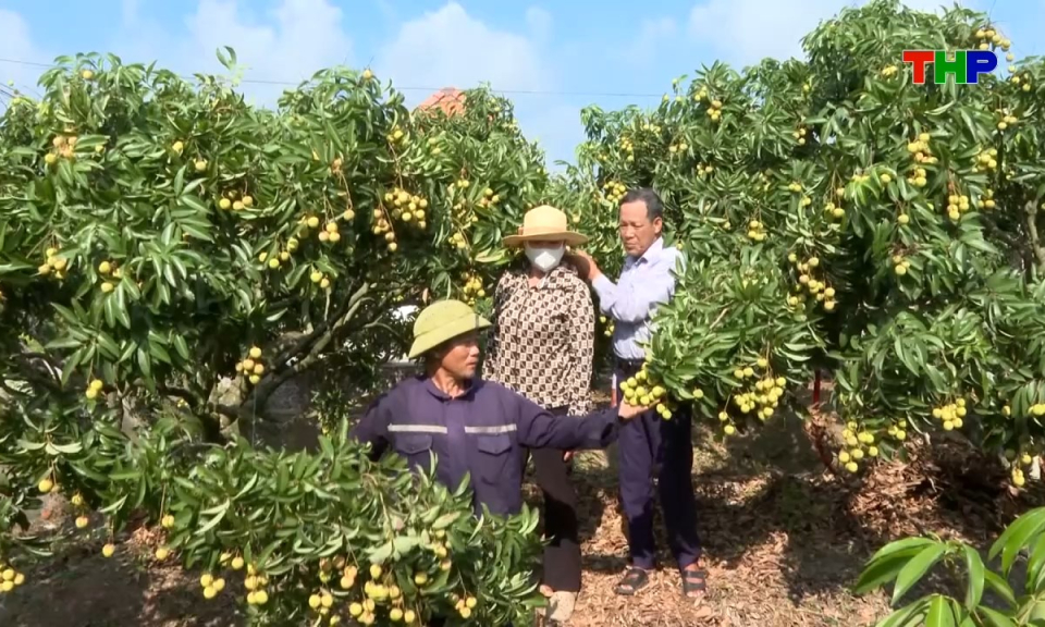 Ch&iacute;nh s&aacute;ch ph&aacute;p luật: Đơn giản h&oacute;a thủ tục h&agrave;nh ch&iacute;nh về m&atilde; số v&ugrave;ng trồng, m&atilde; số cơ sở đ&oacute;ng g&oacute;i