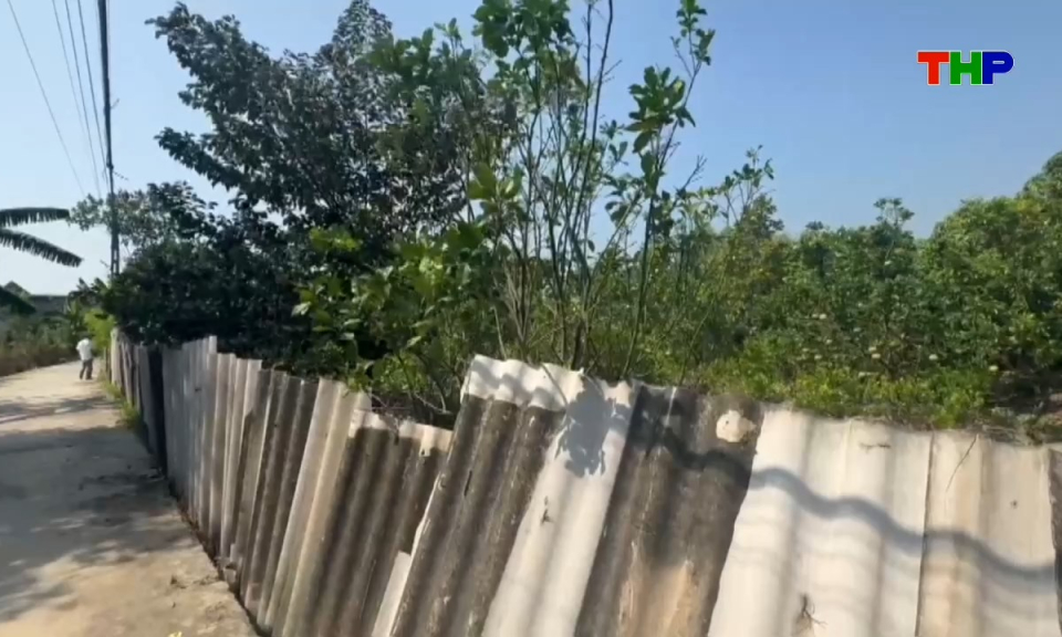 Hộp thư truyền h&igrave;nh: X&atilde; Kim Th&agrave;nh: V&igrave; sao hai anh em họ x&ocirc; x&aacute;t?