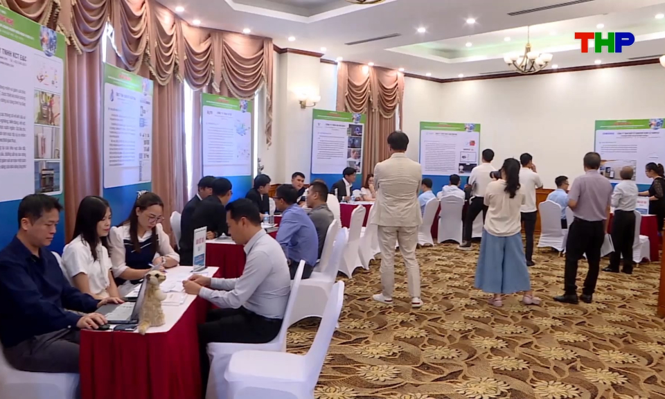 Hải Ph&ograve;ng kết nối doanh nghiệp với đối t&aacute;c H&agrave;n Quốc, th&uacute;c đẩy hợp t&aacute;c c&ocirc;ng nghệ