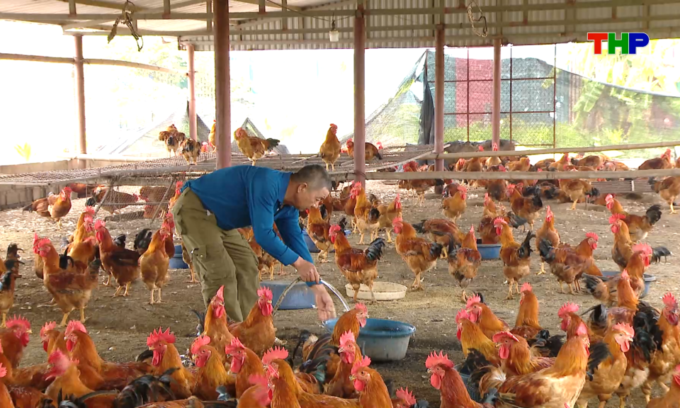 Bản tin thời sự s&aacute;ng (28/09/2026)