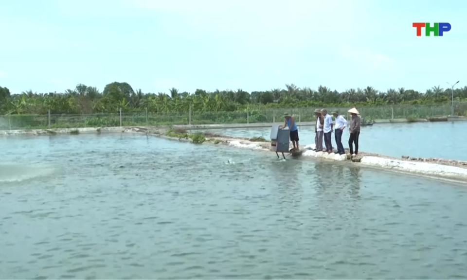 Bản tin thời sự trưa (28/09/2026)
