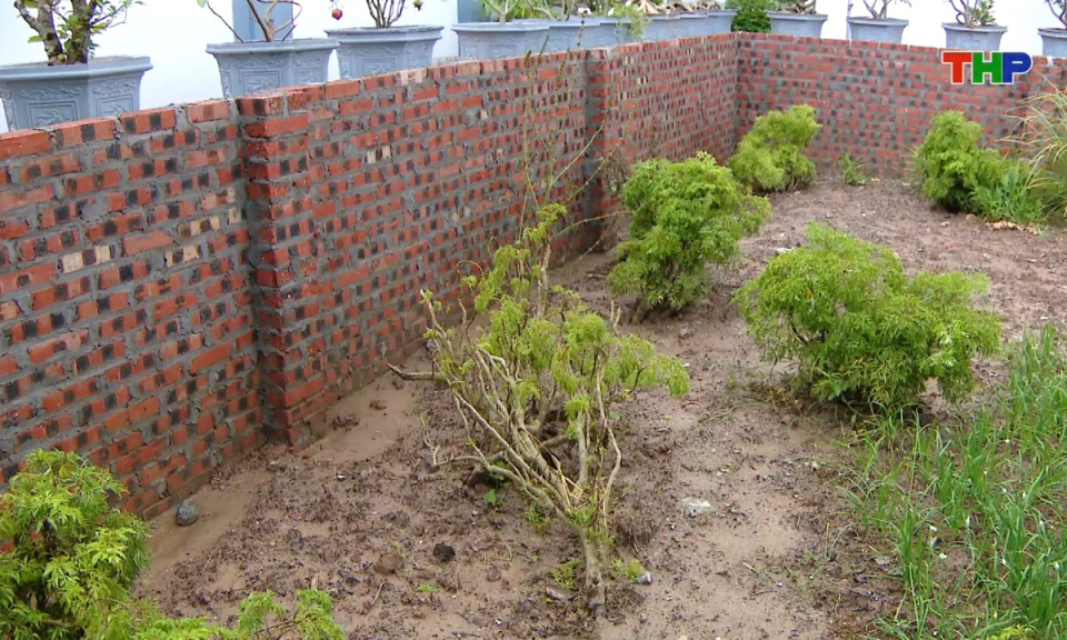 Hộp thư truyền h&igrave;nh: Vướng mắc trong chuyển mục đ&iacute;ch sử dụng đất tại x&atilde; H&agrave; Bắc 