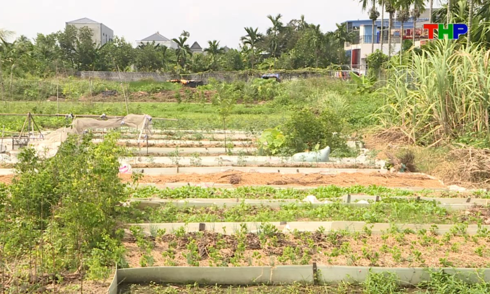 Ph&aacute;p luật v&agrave; cuộc sống: Th&aacute;o gỡ điểm nghẽn, khơi th&ocirc;ng nguồn thu từ đất