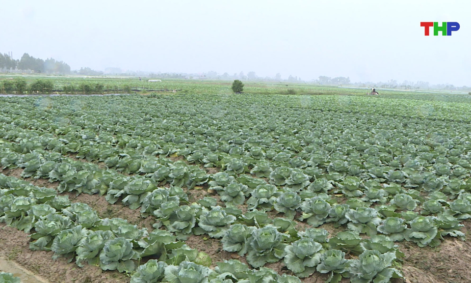 Bản tin thời sự 17h00 (29/09/2026)
