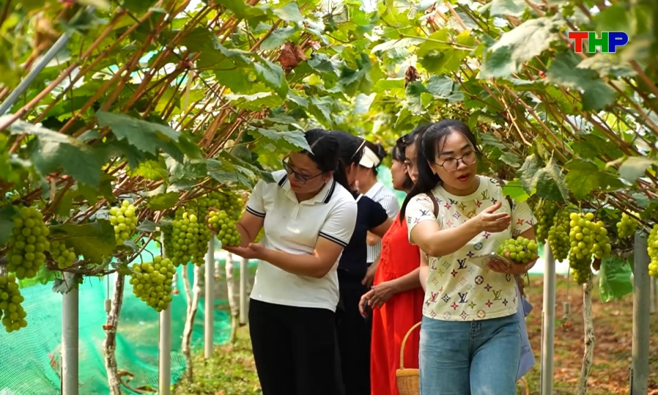Đồng h&agrave;nh c&ugrave;ng nh&agrave; n&ocirc;ng: Để n&ocirc;ng nghiệp xanh từ đồng ruộng