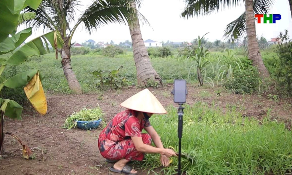 Chạm Hải Ph&ograve;ng: Người gi&agrave; ở Hải Ph&ograve;ng kiếm tiền từ mạng x&atilde; hội