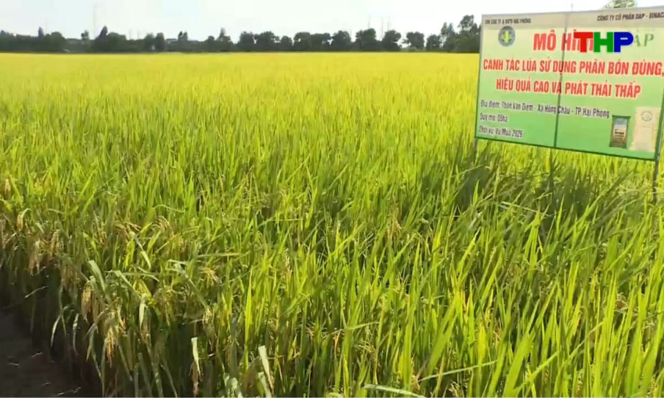 Bản tin thời sự s&aacute;ng (06/10/2026)