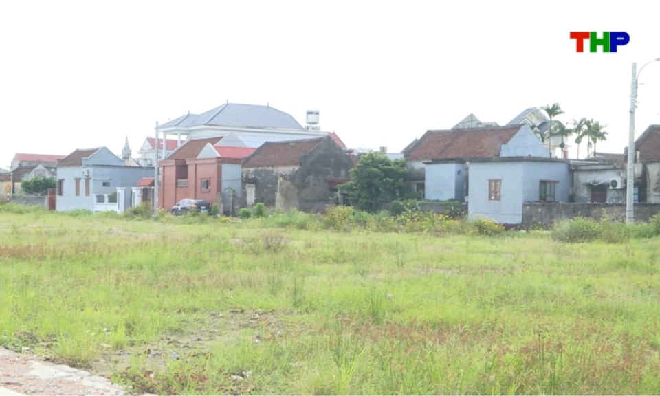 Nhịp sống 24h (07/10/2026)