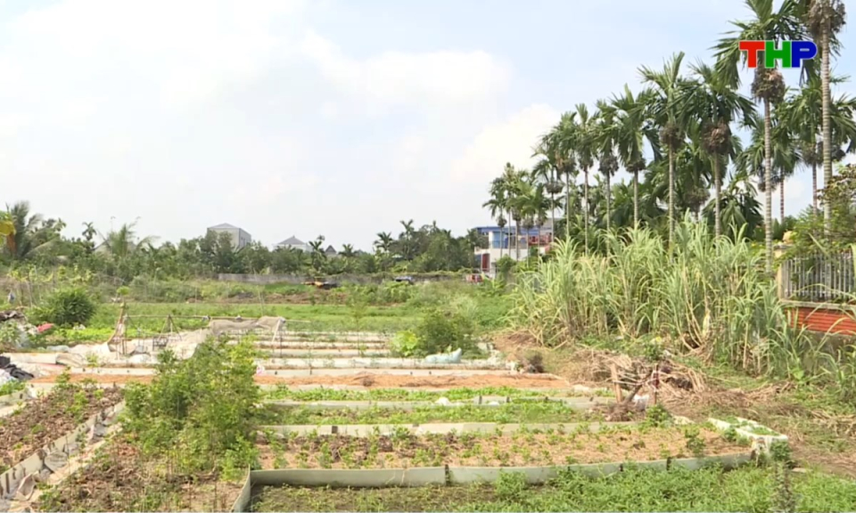 Bản tin thời sự cuối ng&agrave;y (07/10/2026)