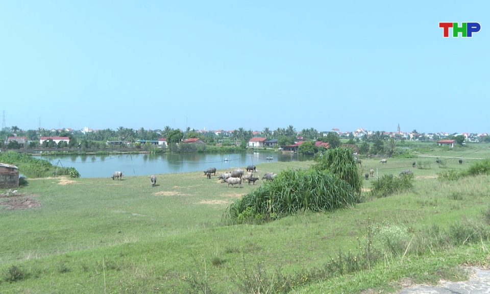 Bản tin thời sự 17h00 (08/10/2026)