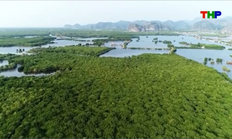 Bản tin thời sự s&aacute;ng (09/10/2026)
