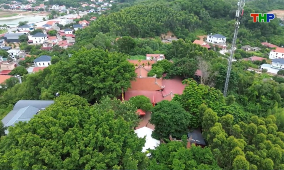 Nhịp sống 24h (11/10/2026)