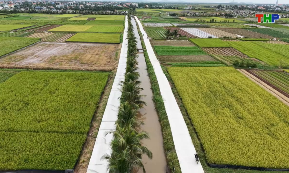Ph&oacute;ng sự: X&atilde; Chấn Hưng: Khơi th&ocirc;ng nguồn lực từ Nghị quyết 11