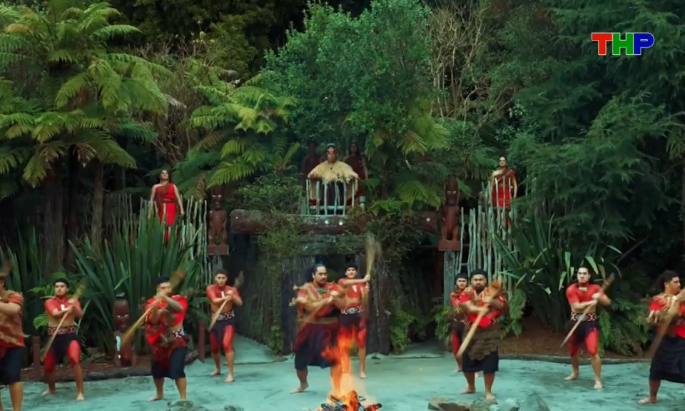 Kh&aacute;m ph&aacute; thế giới: Văn h&oacute;a Maori của v&ugrave;ng đất New Zealand 