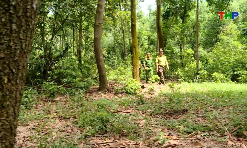 Bản tin thời sự s&aacute;ng (12/10/2026)