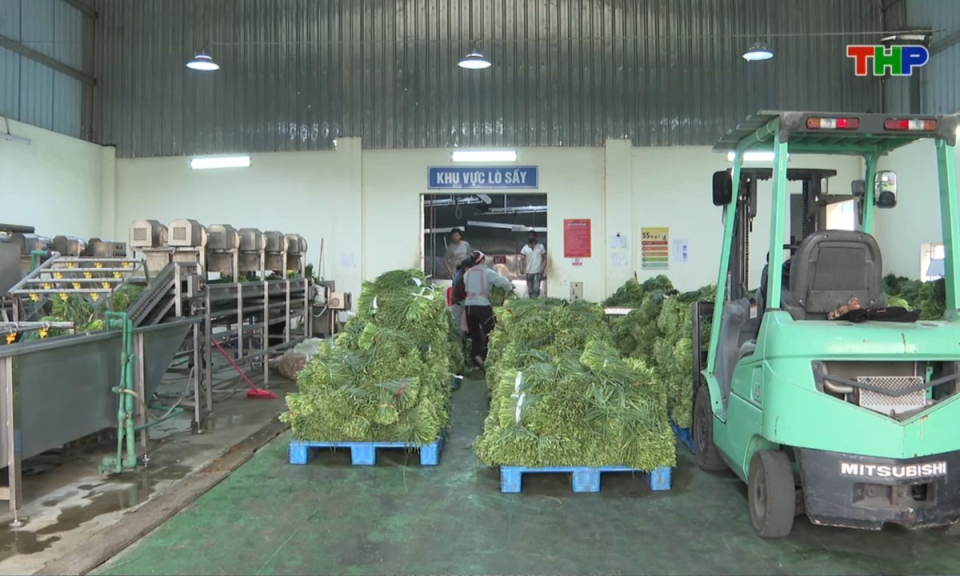 Bản tin thời sự trưa (14/10/2026)