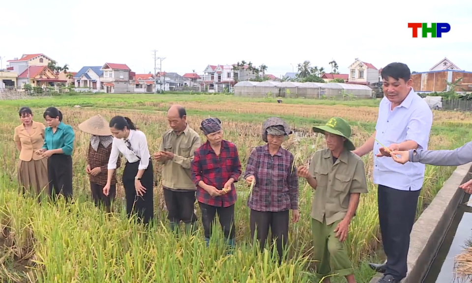Triển khai hiệu quả c&ocirc;ng t&aacute;c d&acirc;n vận