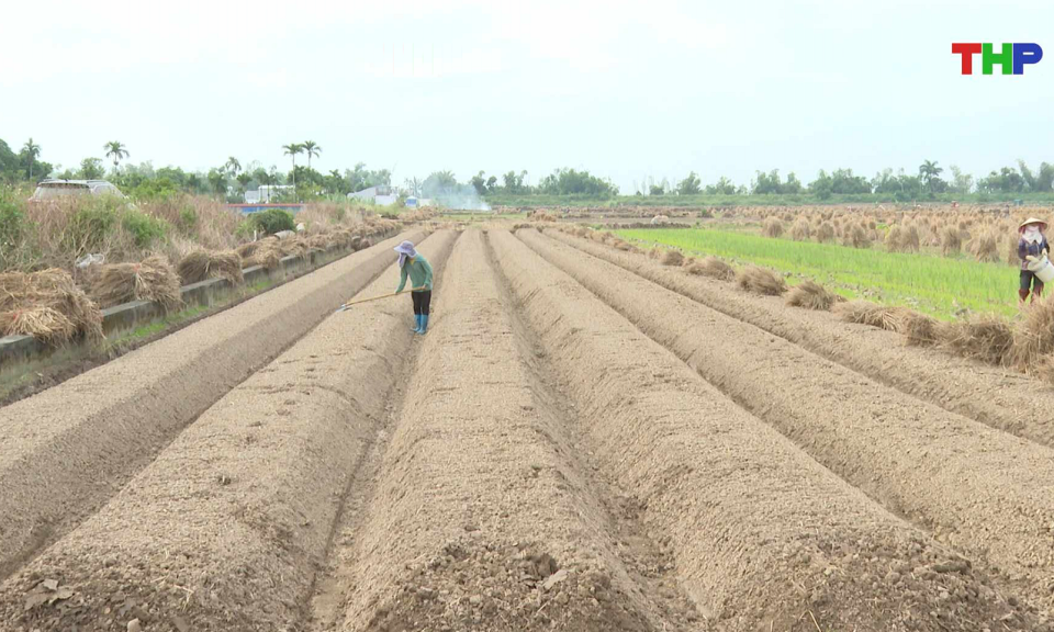 Bản tin thời sự 17h00 (15/10/2026)