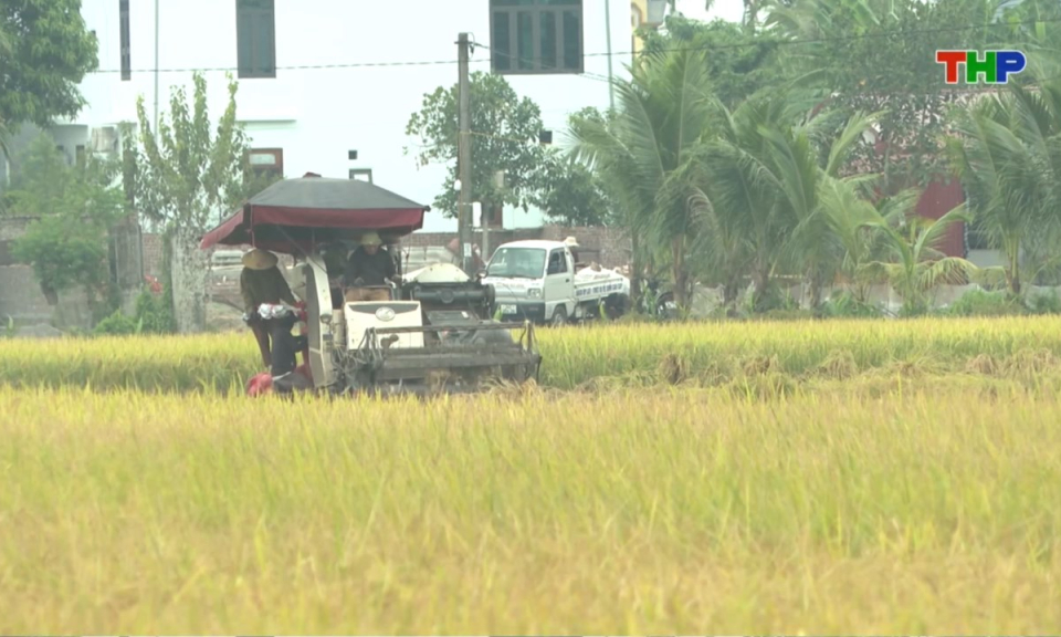 Nhịp sống 24h (15/10/2026)