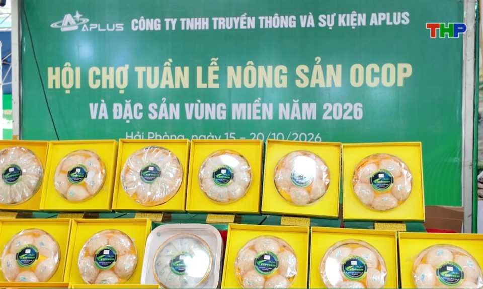 Bản tin thời sự tối (15/10/2026)