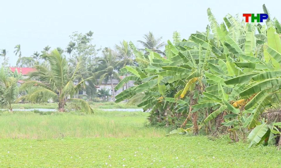 Hộp thư truyền h&igrave;nh: Giải quyết kiến nghị về bồi thường giải ph&oacute;ng mặt bằng