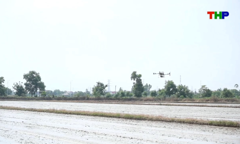 Nhịp sống 24h (16/10/2026)